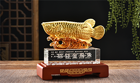 金陵悦盈体育